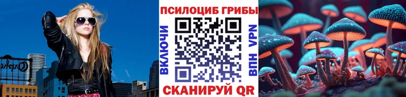 MEGA вход  Ставрополь  Галлюциногенные грибы Cubensis 