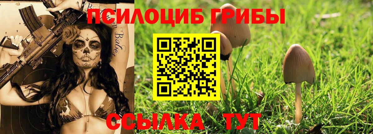 Ставрополь  Галлюциногенные грибы мухоморы  купить наркотик  Вход с VPN 