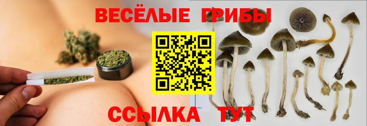 Галлюциногенные грибы Magic Shrooms Ставрополь